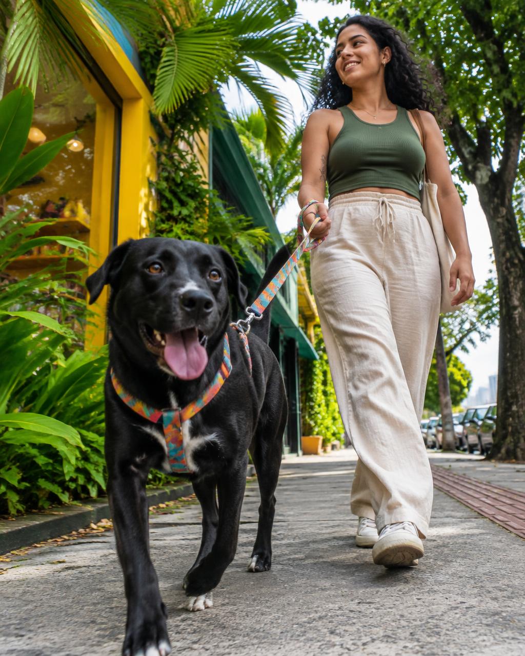 Mulher passeando com cachorro em uma rua arborizada
